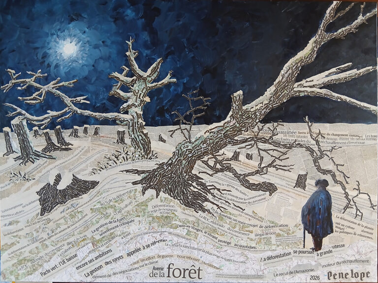 L'avenir des forêt