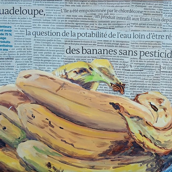 2026 Guadeloupe empoisonnée au Chlordecone